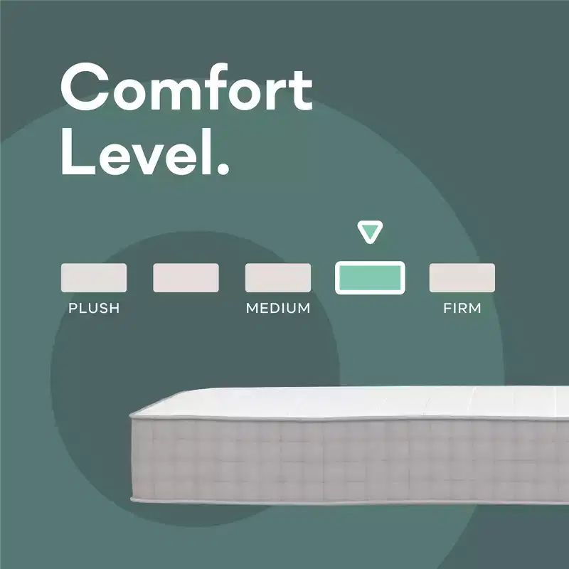 Signature Sleep Dream On 8 Pocket Spring Mattress